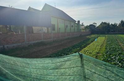 Land for sale