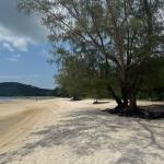 Prime Beachfront Land