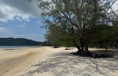 Prime Beachfront Land