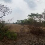 Land for sell