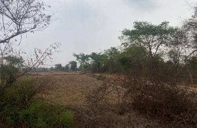Land for sell