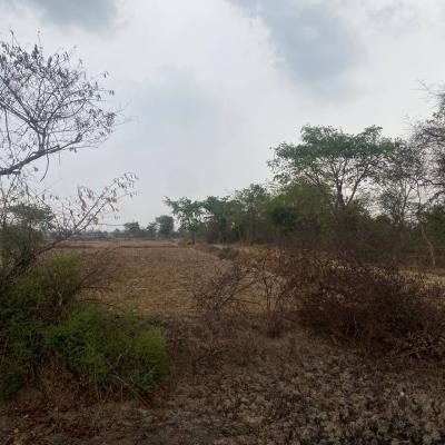 Land for sell